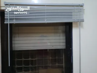  3 برادي زيبرا جديدة بالكرتون للبيع