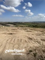  2 مزرعة زيتون ولوزيات
