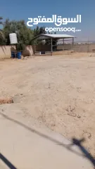  4 قطعة أرض للبيع في منطقة اريحا