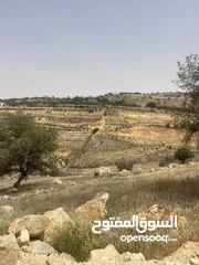  5 ارض زراعيه للبيع في اجمل مناطق العالوك