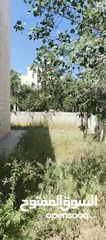  5 فيلا طابقين وروف