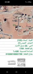  1 لقطه ارض تجاري محلي ج في عمان  منطقه احد البيضاء حي العبوس