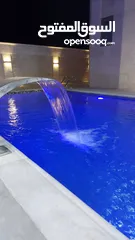  11 فلل فيكتوريا