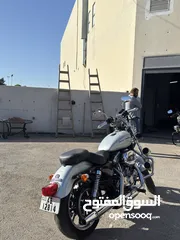  12 Harley sportster XL883 L بحالة الوكاله وصيانة الشركه