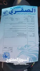  2 سامسونج للبيع موديل 2019 بكالة الوكالة