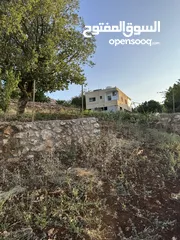  14 مزرعه للبيع / عجلون / رأس منيف