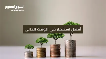  1 استثمار مبلغ بنسبة فائدة 50 ٪