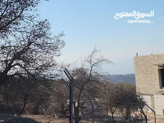  1 ارض للبيع 1500م في ارجمل مناطق المملكه في ابو السوس حوض الدبه حيث الاطلالات العاليه