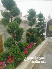  8 مشاتل المملكة الزراعية لتنسيق الحدائق