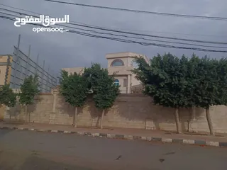  2 اعلان خاص رجال اعمال مسولين مدراء. المقطفين فقط عمل قطاف كل شي متوفر من طرف صنعاء لطرف عندي عمل صدق