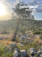  4 ارض مميزة. للبيع