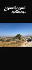  4 قطعت ارض في أم جوزه دنم و 23 متر (قابل  للتفاوض)موقع رائع الحجر مستورد من نابلس و انبا في 1950