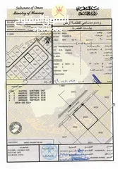  2 العامرات ارضين شبك الامتداد الاول