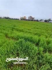  5 اراضــي للبيــع في مادبـــــا مفروزة وسط مادبـــــا وحوارة و الخطابية والتيم وماعين و المامؤنية