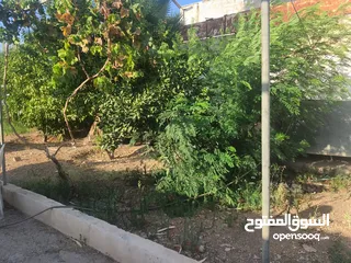  4 بيت ريفي مع ارض في منطقة هادئة وخلابة قريبة من الخدمات يصلح للاسثمار