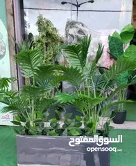  3 روز باتيلز