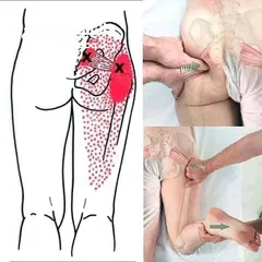  12 مدرب لياقه بدنيه وبناء أجسام ومدرب سباحه