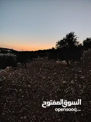  19 ارض للبيع مساحة4300م وعلى الواقع 12دونم تصلح بيت ريفي شاليه ارض زراعيه ويوجد فيها بيت قيد الانشاء