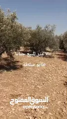  1 ارض للبيع جناتا