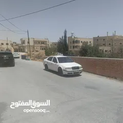  2 ابو رائد لنعيمي