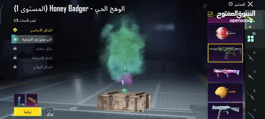  12 حساب ببجي عالمية