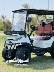  5 Golf cart 2024 new brand