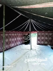  22 خيم شعر تراثيه  حجم 8م×4م يوجد أحجام أخرى حسب الطلب  الخيم جديده ولا يوجد  مستعمله