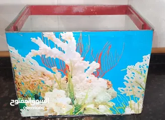  3 حوض سمك زجاجي بحاله ممتازه