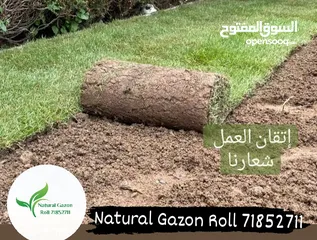  15 Natural gazon roll