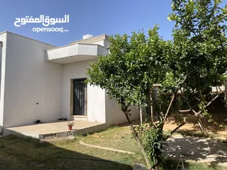  6 منزل للبيع في عين زاره الجدادعه 