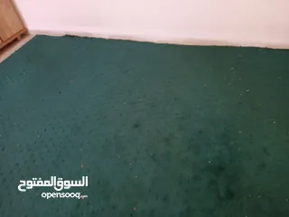  1 موكيته لون اخضر طول خمسه متر وعرض اربعه متر
