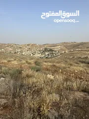  11 فُرصة العُمر لبناء منزل الأحلام ( منطقة بيرين حوض الحبل ) الإطلالة الأجمل في بيرين منطقة (قصور وفلل)