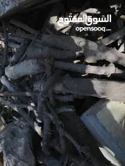  1 حطب زيتون ولوز يابس درجة أولى متين وسميك مثالي للتعبئة والشوي ومتوفر بكميات وبتسعيرة منافسة