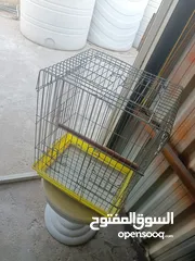  4 قفص كاسكو ثقيل  ماكليات اتوماتيكيه بتفصل القشر لحال و الحبوب لحال
