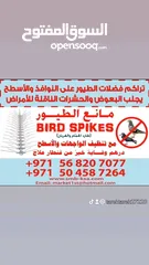  6 مانع الطيور bird spikes