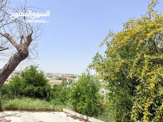  4 ارض سكني للبيع خلدا سكن ب خاص باحكام خاصه مطله على دابوق