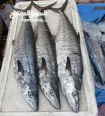  2 الان في صنعاء خدمة بيع الاسماك الطازجة بجودة ممتازة جدا بأقل من اسعار المطاعم وخدمة التوصيل للمنازل