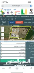  2 فلل عدد التنين في أريحا