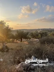  4 ارض للبيع مميزة مطله وبسعر مميز جدا