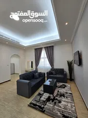  20 Furnished VIP studio for rent within Villa's  in alain area