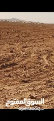  1 ارض للبيع في منطقه سلواد مساحه 10 دونم
