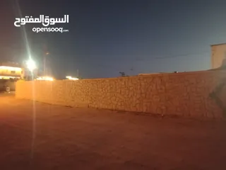  12 معمل اجبان أو مخللات
