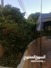  4 شقه سوبر ديلوكس للبيع