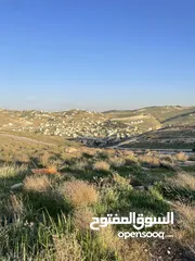  3 قطعة ارض مميزه جدا وموقع مميز فرصه لبناء منزل الاحلام وسعر جداً مميز شفا بدران ام رمانه اطلاله رائعه