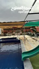  7 مزرعة وشاليه الباشا