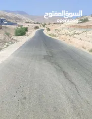  17 ارض للبيع اريحا _قطعة ارض