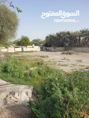  15 مزرعة للبيع بموقع مميز قريب للخدمات والسعر مناسب