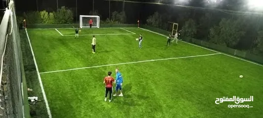  26 عشب ملاعب / عشب حدائق / عشب مدارس / عشب مزارع / عشب صناعي/ نجيل / تارتان Playground grass