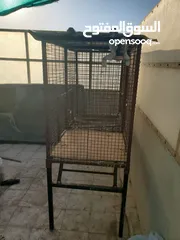  5 Heavy steel  big cage for sale