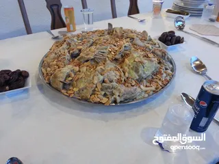  20 متخصصون في catering للحفلات والمناسبات (خدمة الطعام)